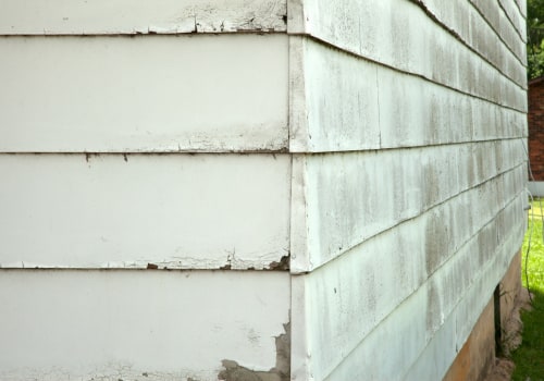 Dealing with Common Exterior Issues: Mold and Mildew